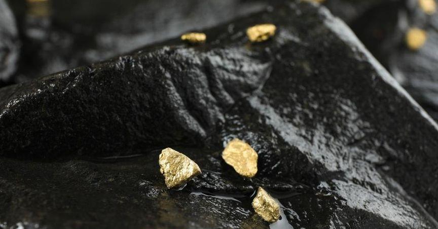  Evolution Mining (ASX:EVN) Shares Track ASX 300 Amid Gold Sector 
