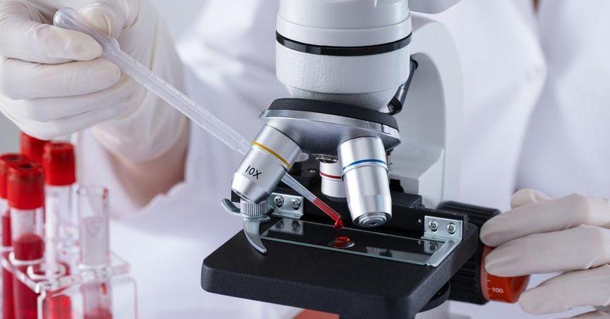  Edwards Lifesciences (NYSE:EW) Shares Little Changed in NYSE Session 