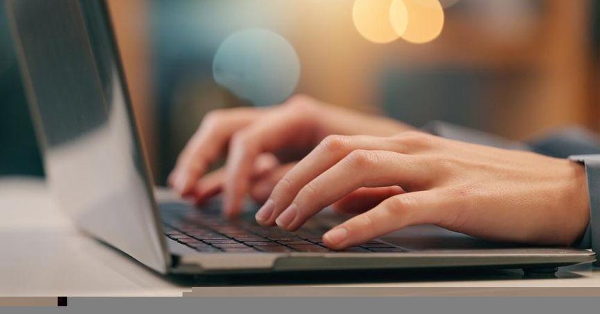 Why ASX300 Tech Players Like WiseTech (ASX:WTC) Stand Out in 2025