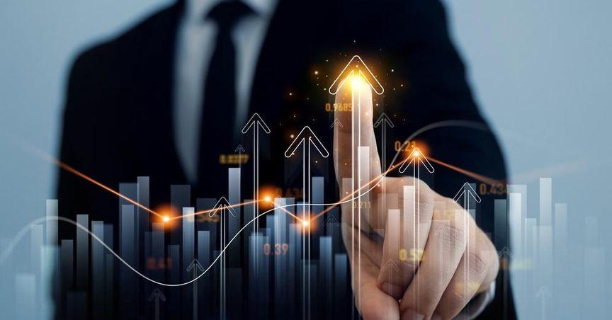  Import Substitution Development Strategy 