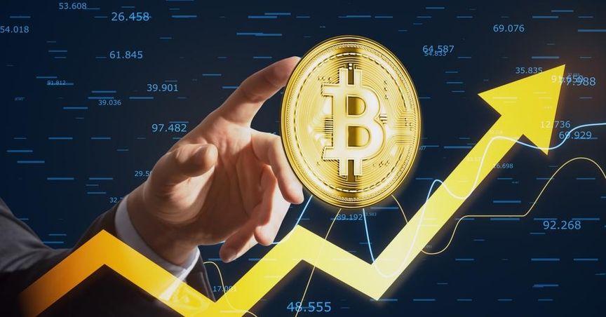  The Crypto Surge: Trump Administration’s Impact on Digital Assets 