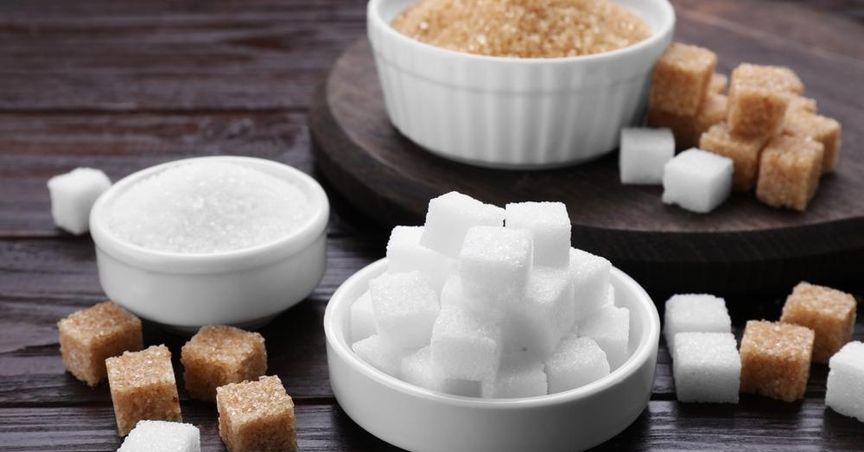  Could Rogers Sugar’s Debt Impact Future Market Movements? 