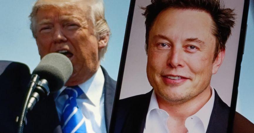 Elon Musk Exits White House Role, Focus Shifts Back to Tesla Amid DOGE Fallout| Kalkine