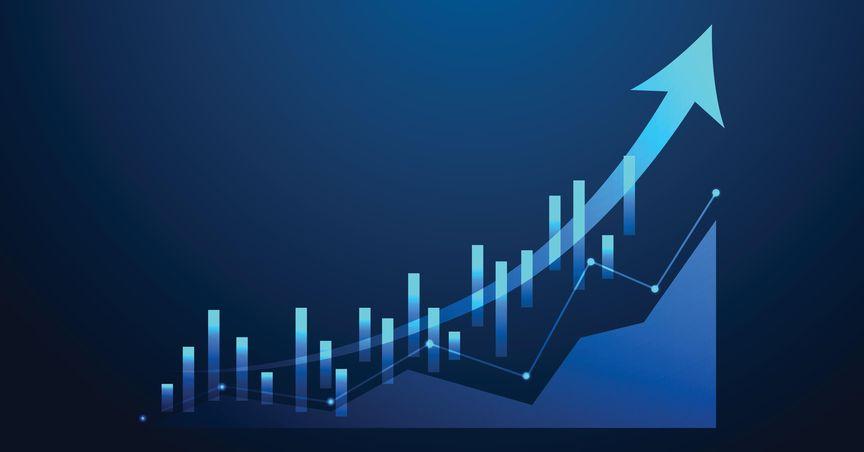  WiseTech's Crossroads: Bargain Opportunity or Deeper Trouble Ahead? 