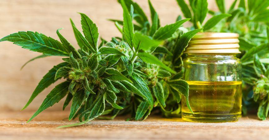 Three Cannabis Stocks Poised for Potential Doubling of Your Investment in 2023