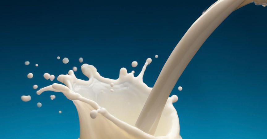  Synlait Milk (ASX:SM1) posts 235% surge in yearly net profit 