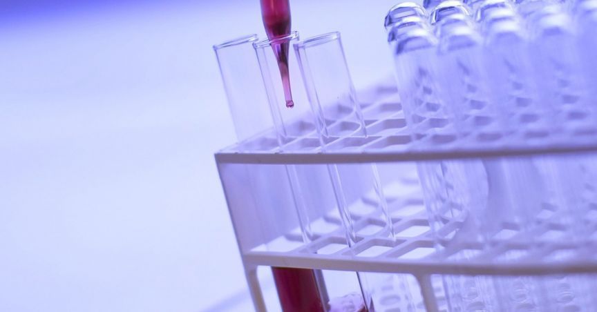 Pharmaust Ltd Gets 66 Percent Subscription For Its Rights Issue, Raises $1.3 Million