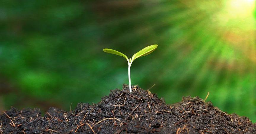  What’s Driving Heidrick & Struggles’ Bold Move in Sustainability? 