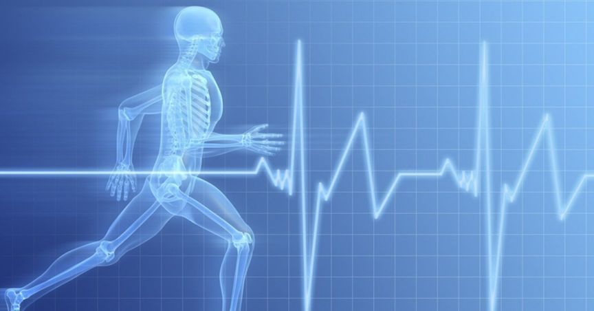 Why These Two Healthcare Stocks Spiked Up In Last 5 Trading Days – HMD And KZA?