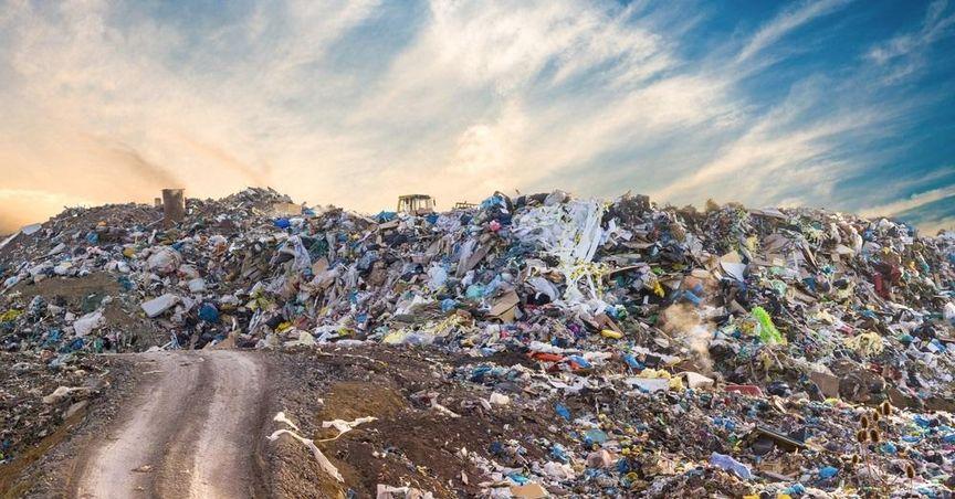 Will Second Quarter Metrics Impact GFL Environmental (TSX:GFL) On The TSX Composite Index?