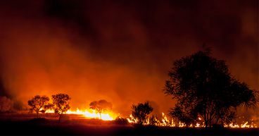 Insurance and the Bushfire Crisis: Growing Claim Numbers and Insurer’s Response
