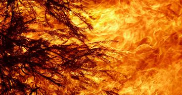  Bushfire Affected Communities Receiving Blockbuster Funding Support 