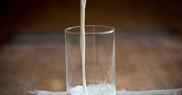 Guide to Investing in Infant Formula Stocks-A2M, KTD, NUC, CLV, BUB