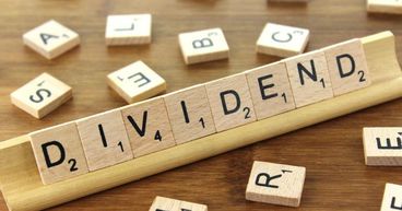 Why are dividends important? Should investors participate in Dividend Re-investment Plans?