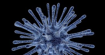 Australian Shares Shed Wealth Amid Coronavirus Pandemic
