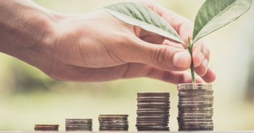 LICs & LITs Under Scanner; WAM Posts Decent Results
