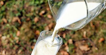  Cast an Eye Over Five Baby Food Stocks - BBN, A2M, BUB, JAT and SM1 