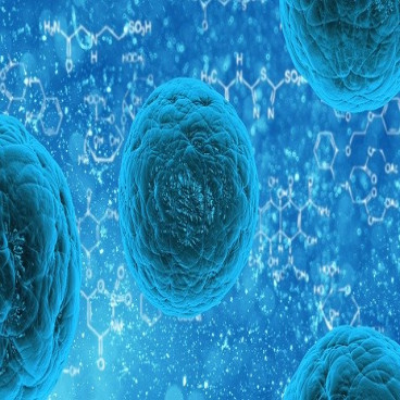 Antimicrobial product manufacturers favourably impacted by COVID-19 - ZNO, HCT