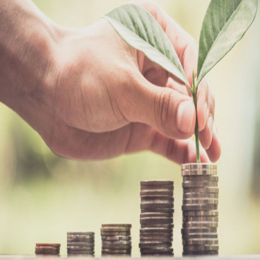 Lens on 4 High Dividend Stocks – AWC, NHC, FMG, SXL