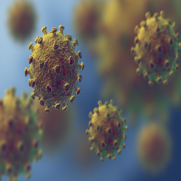 Flattening the Curve: Positive Developments on Coronavirus and Stock Markets that went in a Spiral