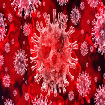 A Different Perspective on COVID-19 Pandemic, Taking Clues from History