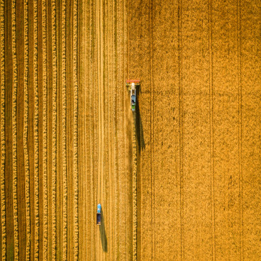 3 Agriculture-based stocks on ASX: SHV, AAC & RFF