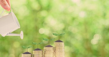 Guide to investing in Dividend Stocks