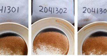 MRG Metals Uncovers Highest-to-date THM Grade at Zulene Anomaly