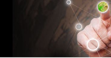 MRG Metals Sheds Light on Recent Outstanding Poiombo Assay Results
