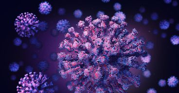 Bulls Shiver Once Again with Another Wave of COVID-19 infection?
