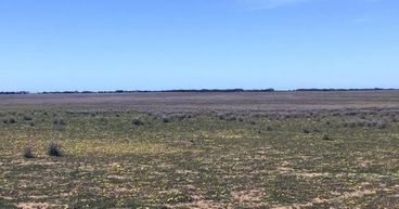 Renascor’s PSG Processing Operation Provides Path to Capitalise on World-Class Siviour Graphite Project, Study Indicates