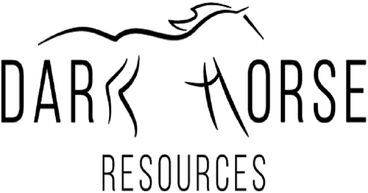 Dark Horse Exploring for Large Gold Deposits in Key Mining Jurisdictions, Expanding Horizons in 2020