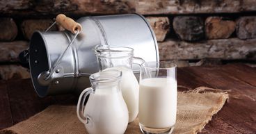 Get acquainted with ASX listed Dairy Sector Players: A2M, SM1