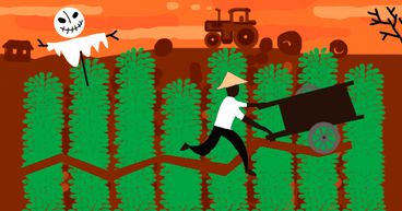 A Look At Agriculture Stocks This Halloween: Nutrien & Village Farms International