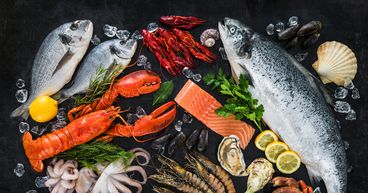 Australian lobster industry in troubled waters after Chinese restrictions