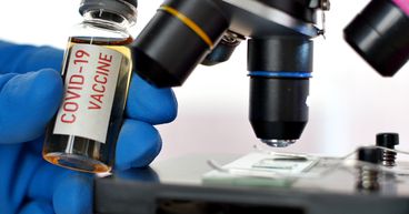 Pfizer’s shares plunge after reports of cutting COVID-19 vaccine supply to half