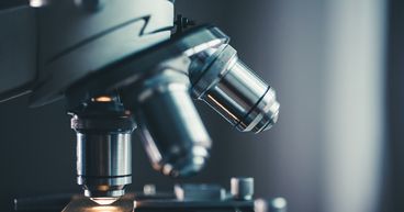 Why Is Numinus Wellness (TSXV:NUMI) Trending?