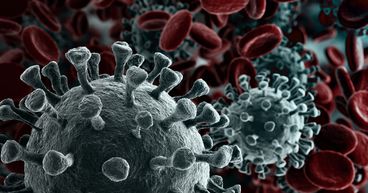  Coronavirus rescue package on cards in US, markets cheer 