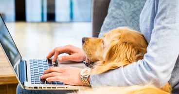 BarkBox set to go public via $1.6M SPAC merger