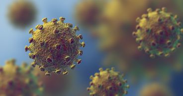New virus strain: EU starts to ease bans, WHO to meet