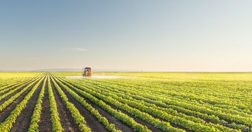 Elders Ltd (ASX: ELD) Foresees Brighter Future Amidst First-Half Challenges
