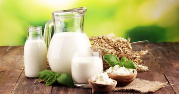 What can revive New Zealand Dairy Market in 2021?