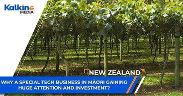 Why a special tech business in Māori gaining huge attention and investment? | NZ Why a special tech business in Māori gaining huge attention and investment? | NZ