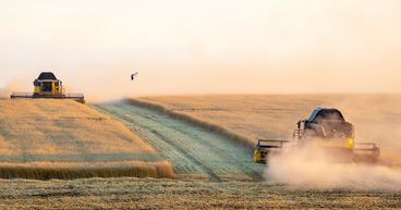 Dry weather across northern hemisphere hits wheat production, Is Australia in a sweet spot?