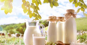 Fonterra’s (NZX:FCG) NZ milk production stays flat while exports rise