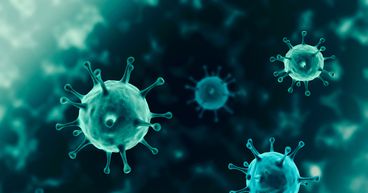 Is NZ on its way to success yet again? Zero new COVID-19 case recorded on 1 February