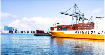 What drove the decline in Australia’s January exports
