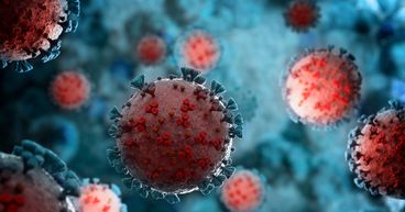 Sunak may extend coronavirus support into summer