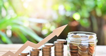 New Zealand’s 5 Penny Stocks Drawing Investors’ Attention- AFC, BRM, GSH, SVR, ACE