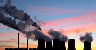 New Zealand’s first carbon auction receives massive response